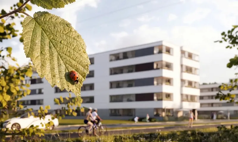 Miasteczko Nova Sfera etap 4
